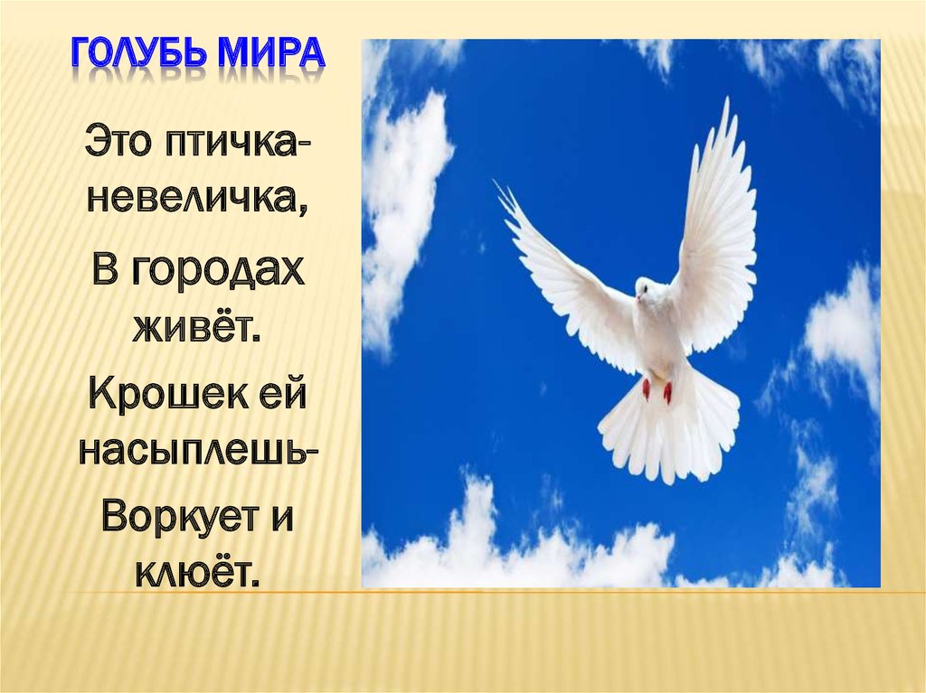 Международный день мира (114 изображений)