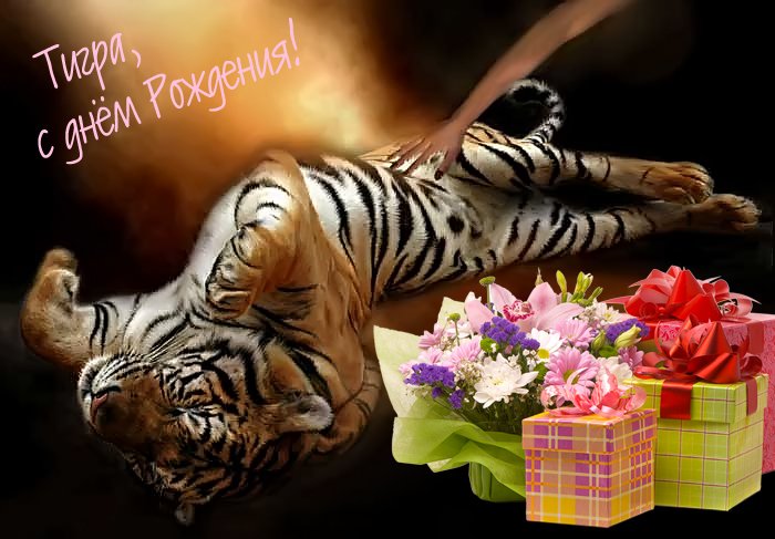 Открытка с днем рождения с тигром