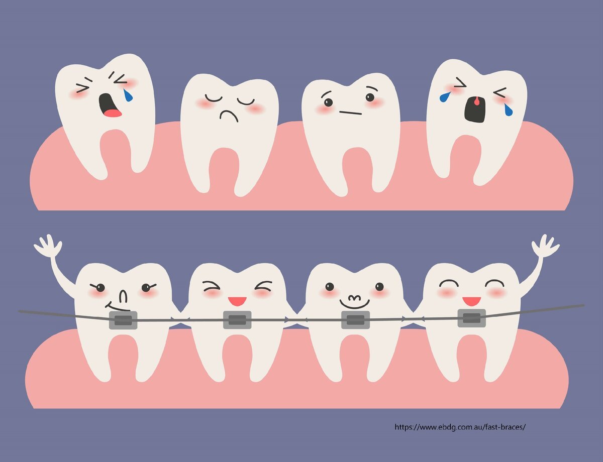 День ортодонта (63 изображения)
