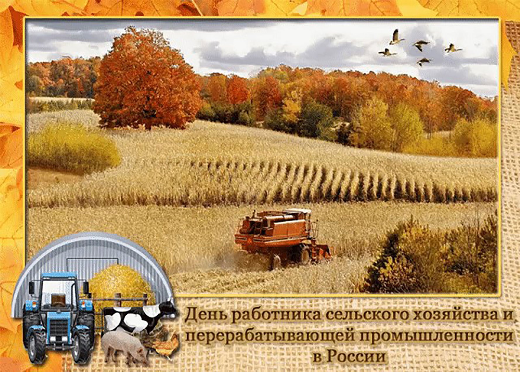10 октября день работника сельского хозяйства картинки