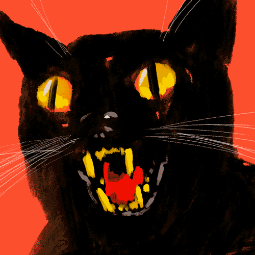 Черные кошка 13. Кот дьявол. Черная кошка. Пятница 13 е черный кот. Страшный черный кот.