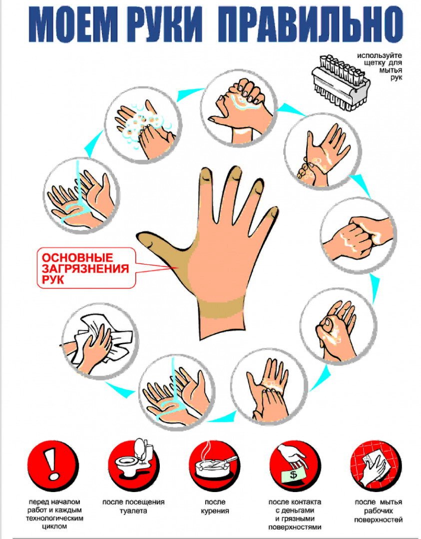 Моем руки правильно картинки для детей
