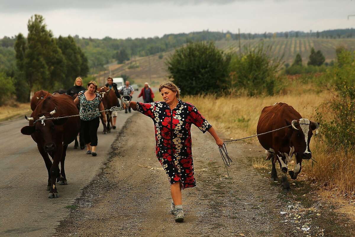 День сельских женщин (78 изображений)