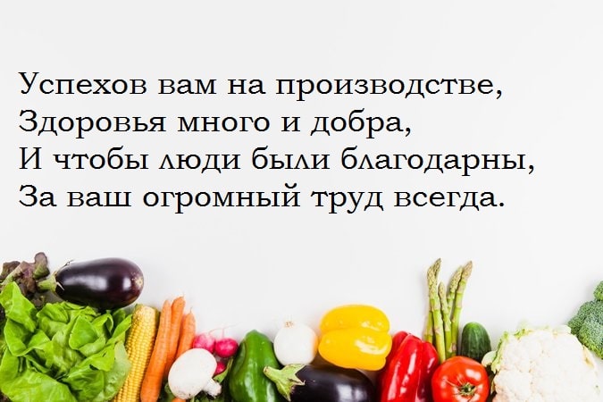 День работников пищевой промышленности (72 изображения)