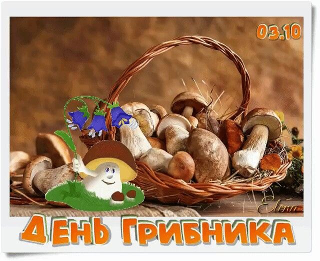 праздник день хлеба картинки