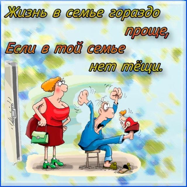 Международный день тещи (48 изображений)
