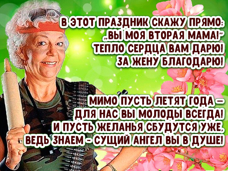 Международный день тещи (48 изображений)