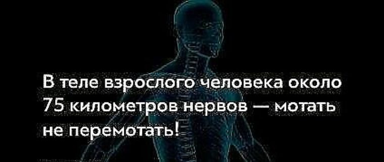 День защиты мужской нервной системы (40 изображений)