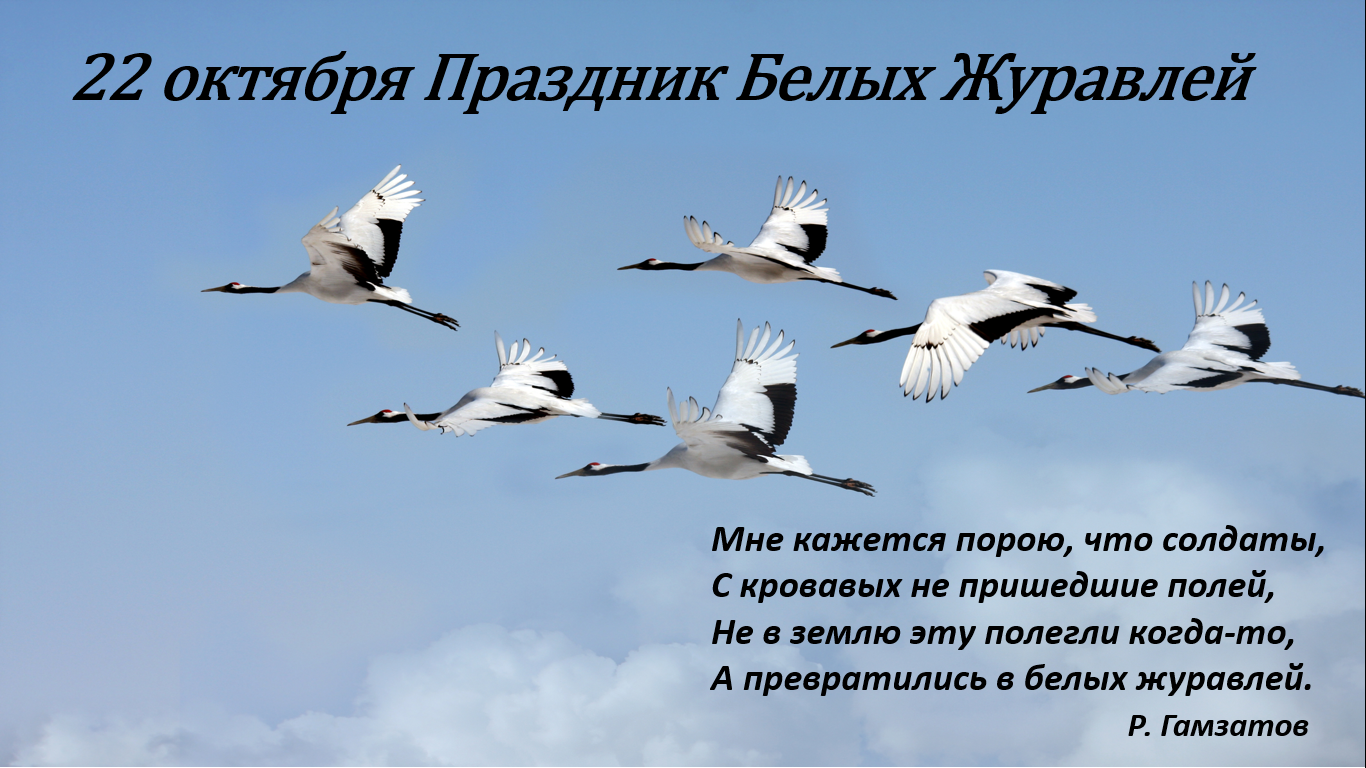 22 октября день. День белых журавлей. Акция белые Журавли. Акция день белых журавлей. Акция памяти день белых журавлей.