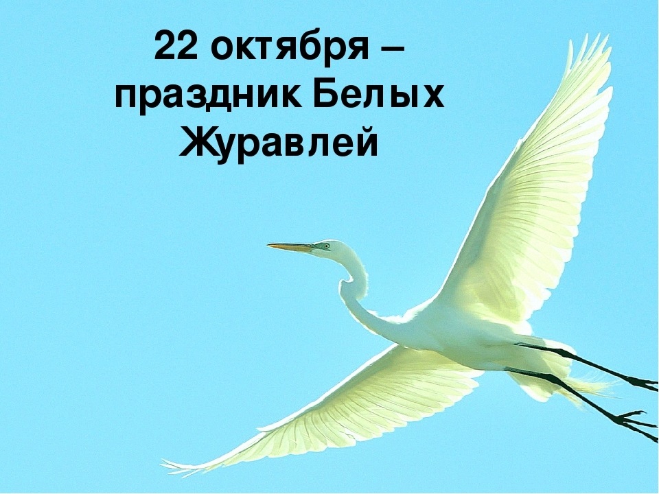 Анимация журавли. Переливающаяся птица. Открытки с журавлями. Анимашка журавль. Анимированные Журавли.