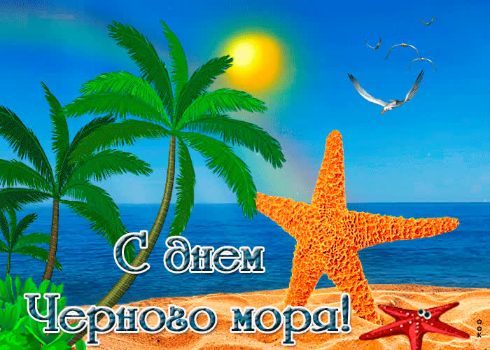 день моря