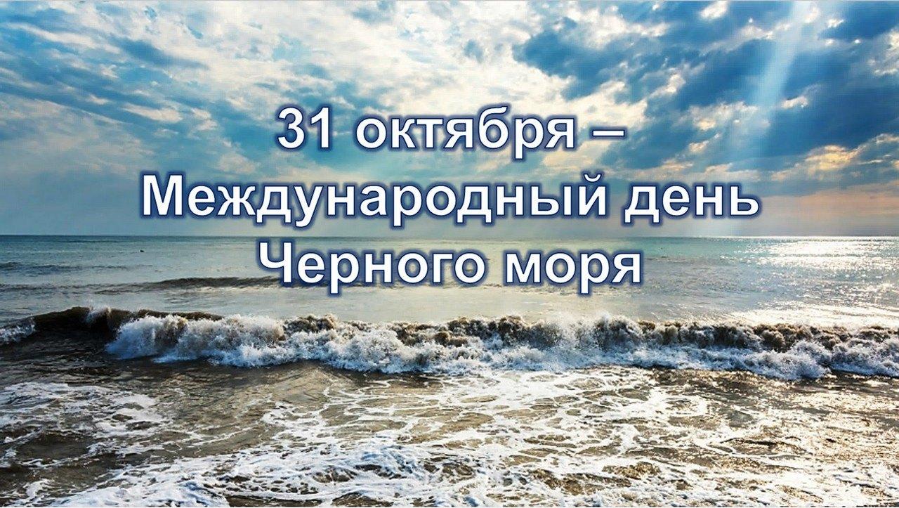 С днем черного моря картинки