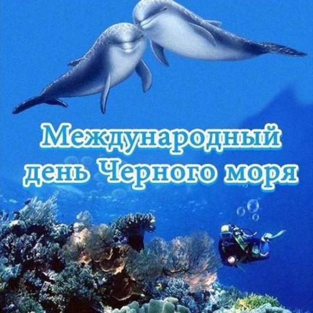 С днем черного моря картинки