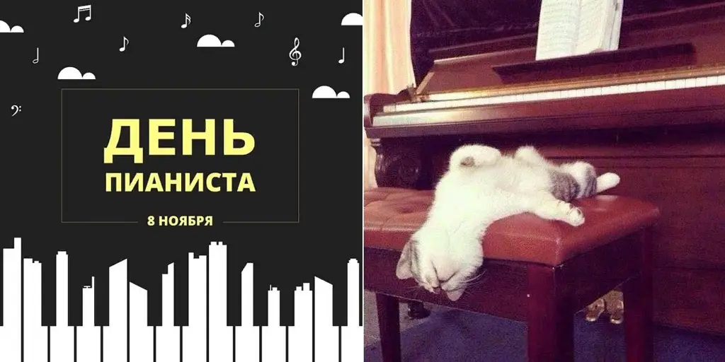 День Пианиста (29 изображений)