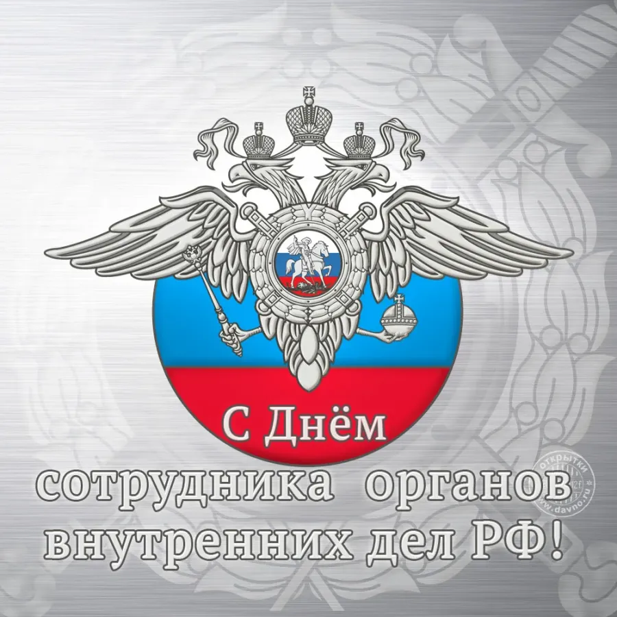 День полиции (47 изображений)