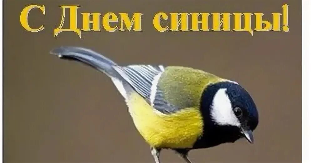 Синичкин день рисунок