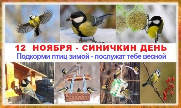 День синички картинки