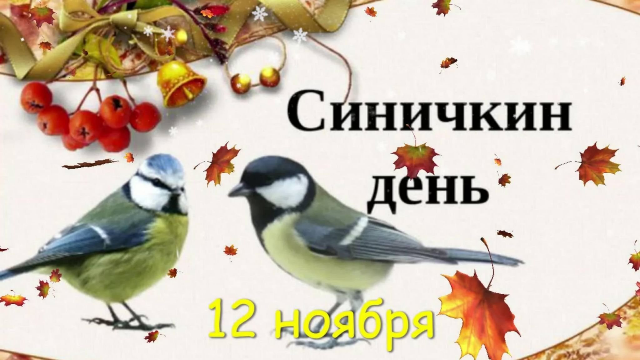 Птички осенью. Осенние птицы. Птица в листве. Синица осенью. Синичка осень.