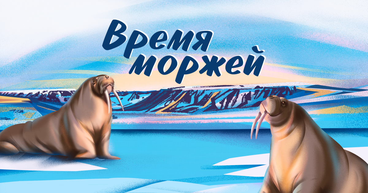 День моржа. Морж логотип. Флаг моржей. Логотипы клубов моржей. Моржевание лого.