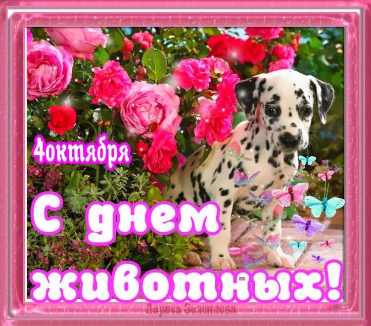 День домашних животных картинки