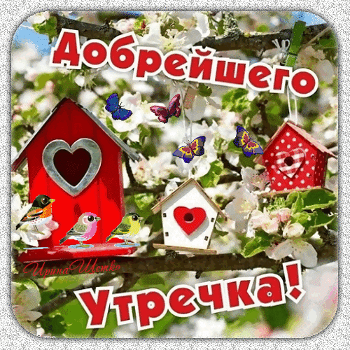 открытки с добрым утром зимние. доброе снежное утро. добрейшего утречка гифки зимние картинки. добрейшего утречка гифки зимние картинки. доброе зимнее утро.