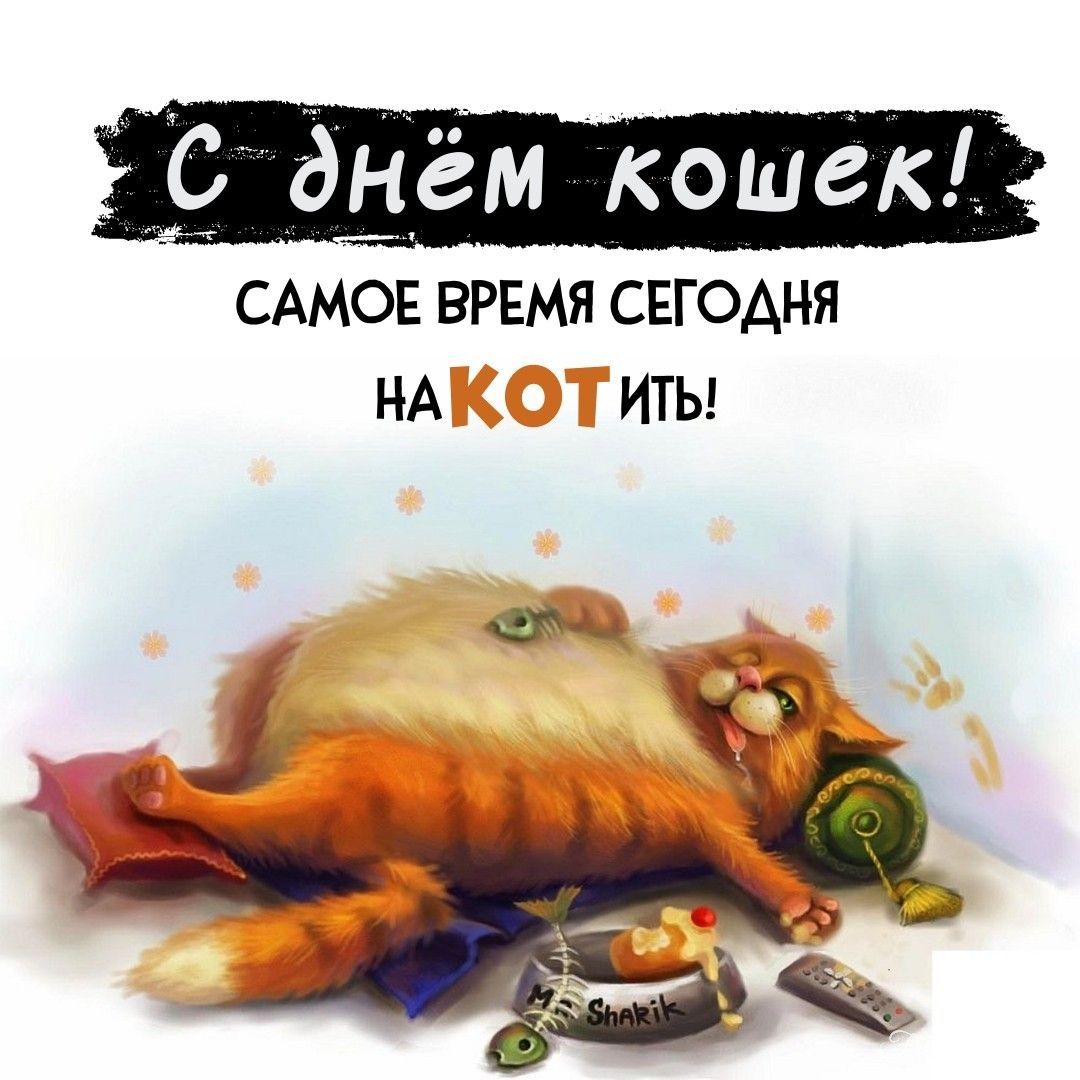 День Кошек (46 изображений)