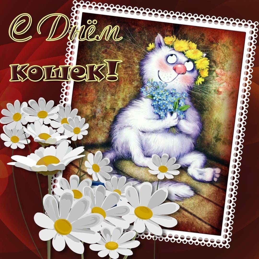 День Кошек (46 изображений)