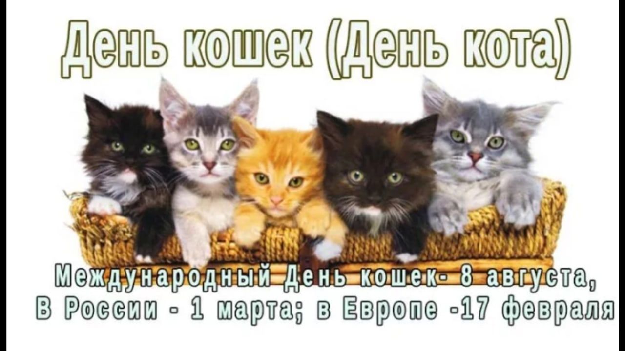 День Кошек (46 изображений)