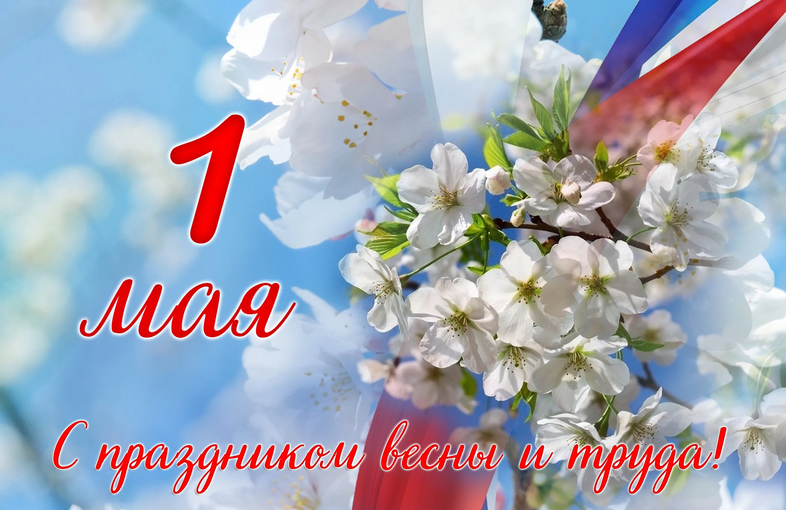 День 1 мая (49 изображений)