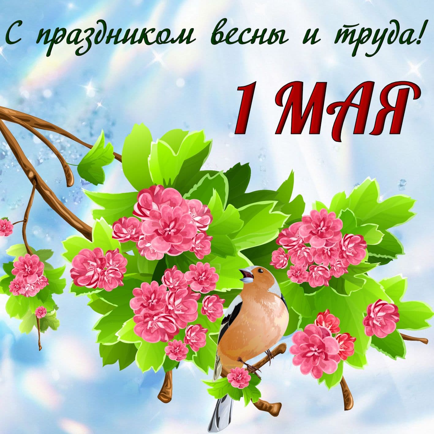 День 1 мая (49 изображений)