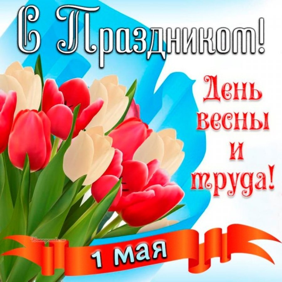 День 1 мая (49 изображений)