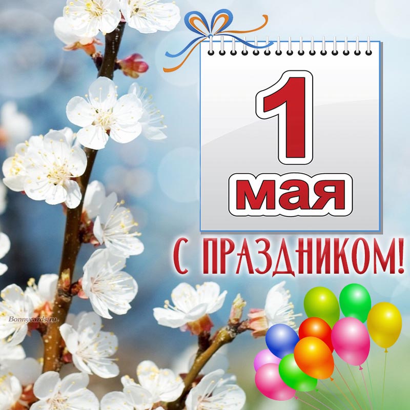 День 1 мая (49 изображений)